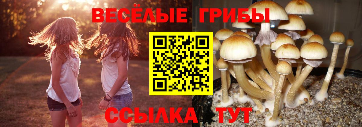 Галлюциногенные грибы мицелий  Вход с VPN  Псилоцибиновые грибы GOLDEN TEACHER  Еманжелинск 